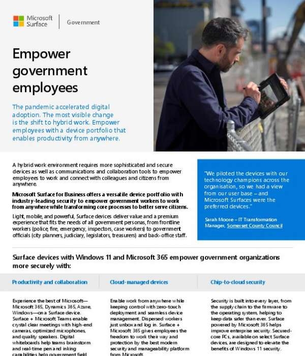 Editable Surface In Government Flyer Thumb &Ndash; Data-Smart Computers