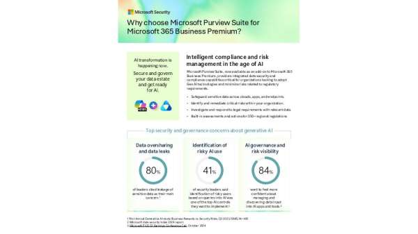 Sb Purview One Pager For Bp Add Ons1 Thumb &Ndash; Data-Smart Computers